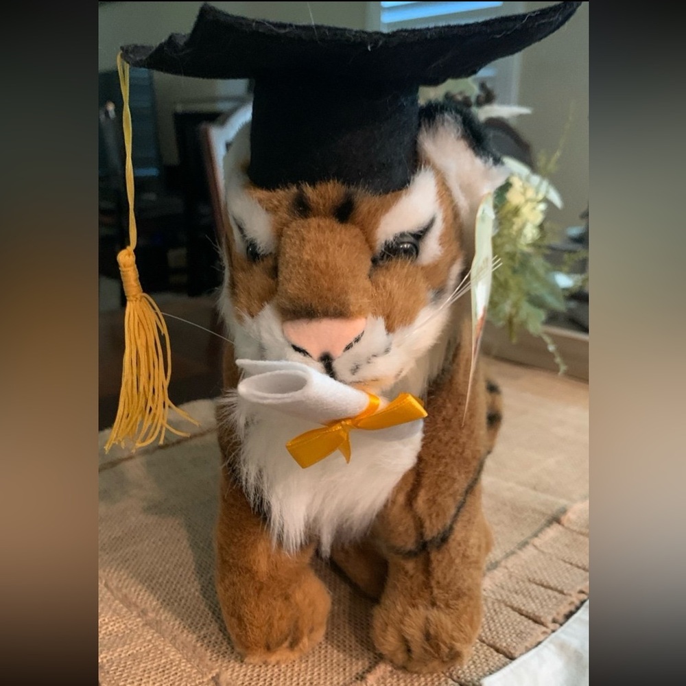 🧑‍🎓 2025 Graduation Achievement Lion Plush with Diploma/Cap 🧑‍🎓